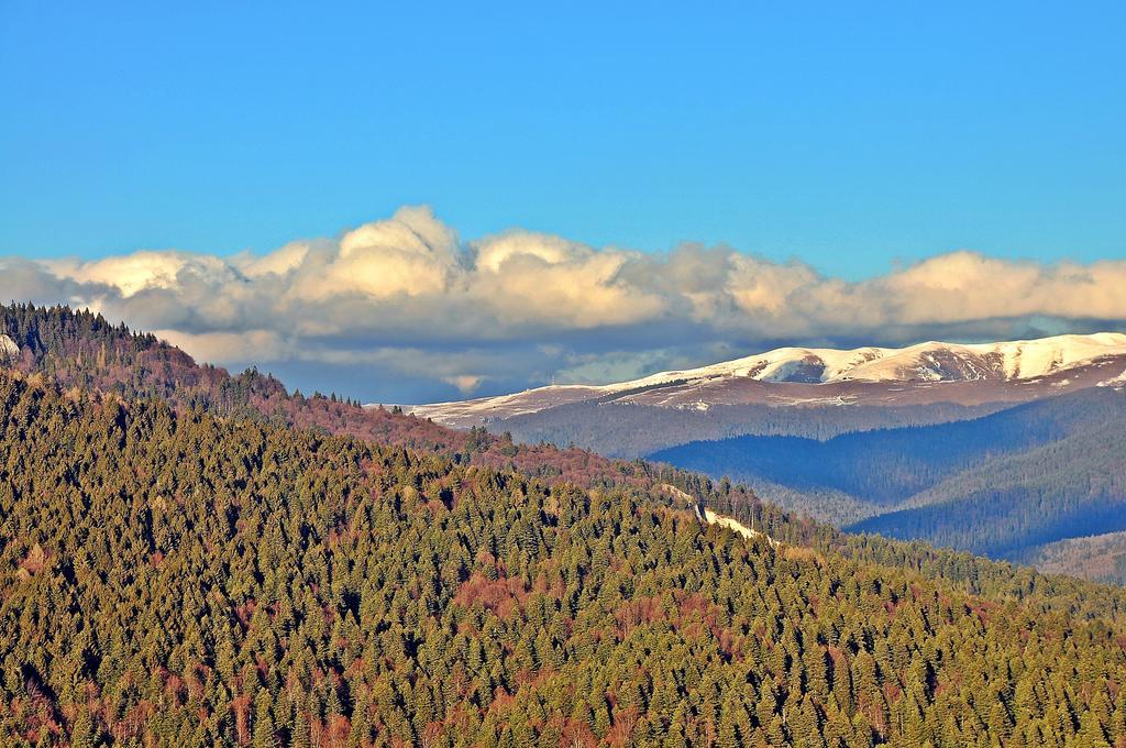 Complex Hotelier Cota O Mie Sinaia Exteriér fotografie