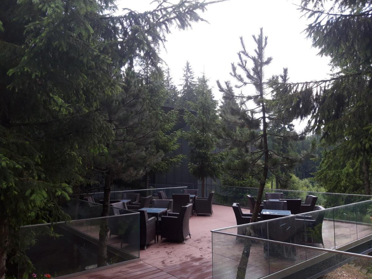 Complex Hotelier Cota O Mie Sinaia Exteriér fotografie